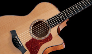 Taylor 514 ce